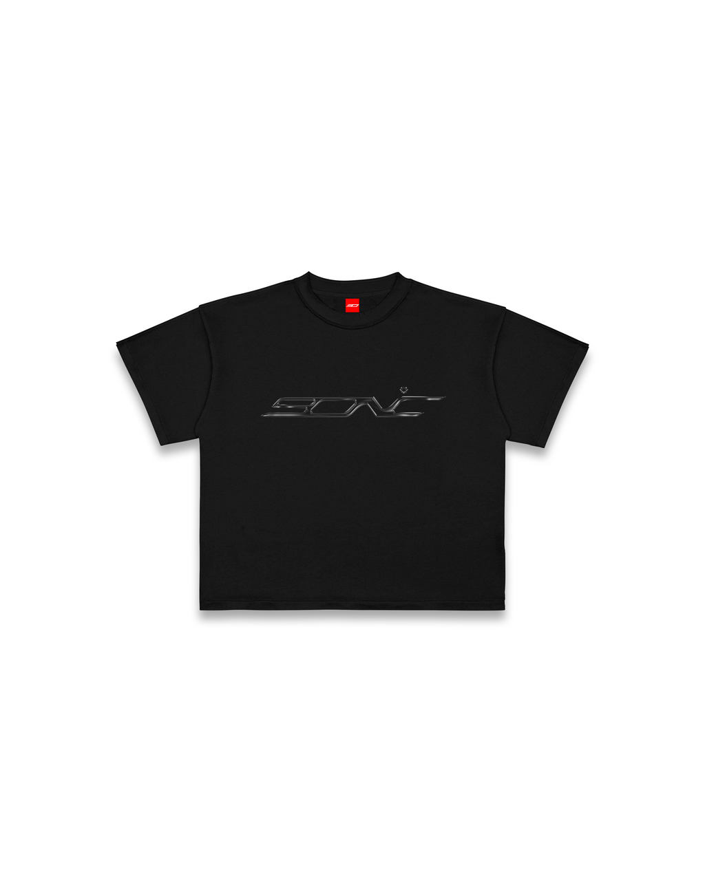 Sonic Boxy Fit Metallic Logo